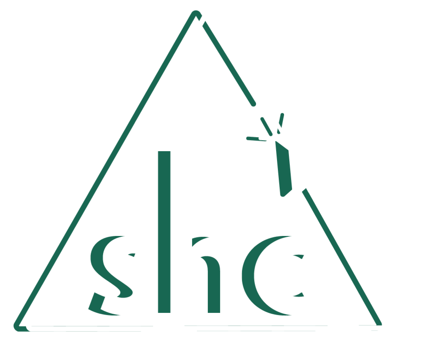Slide Image